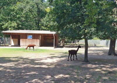 Zabakuck Tierpark