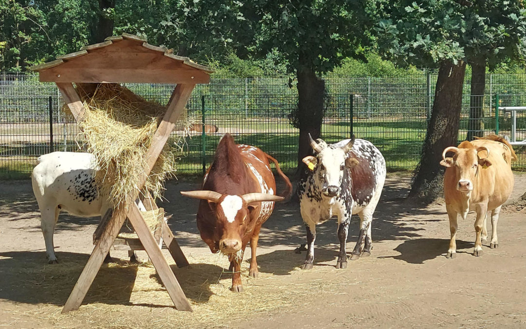 Zabakuck Tierpark und Erlebnisparadies