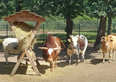 Zabakuck Tierpark