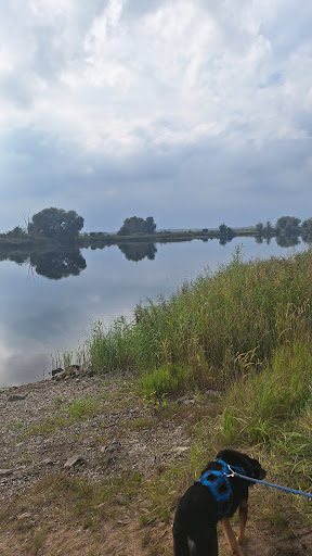 Photo from customer review